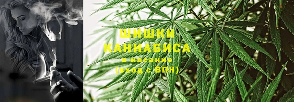 индика Яранск