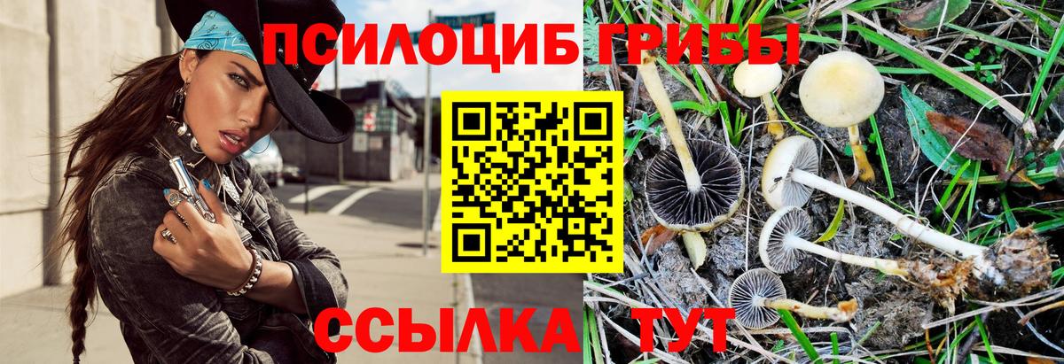 Галлюциногенные грибы мухоморы Ангарск