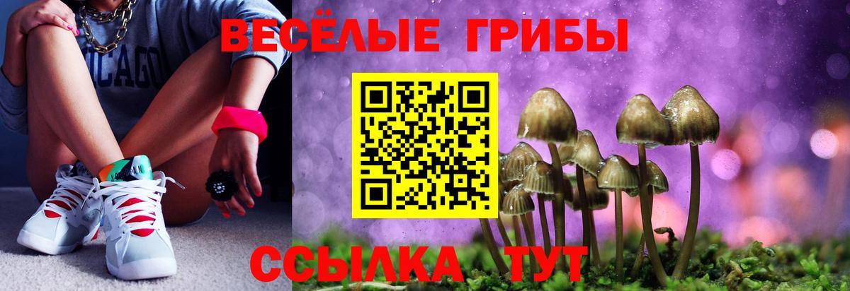 Галлюциногенные грибы MAGIC MUSHROOMS  Вход с VPN  Ангарск 